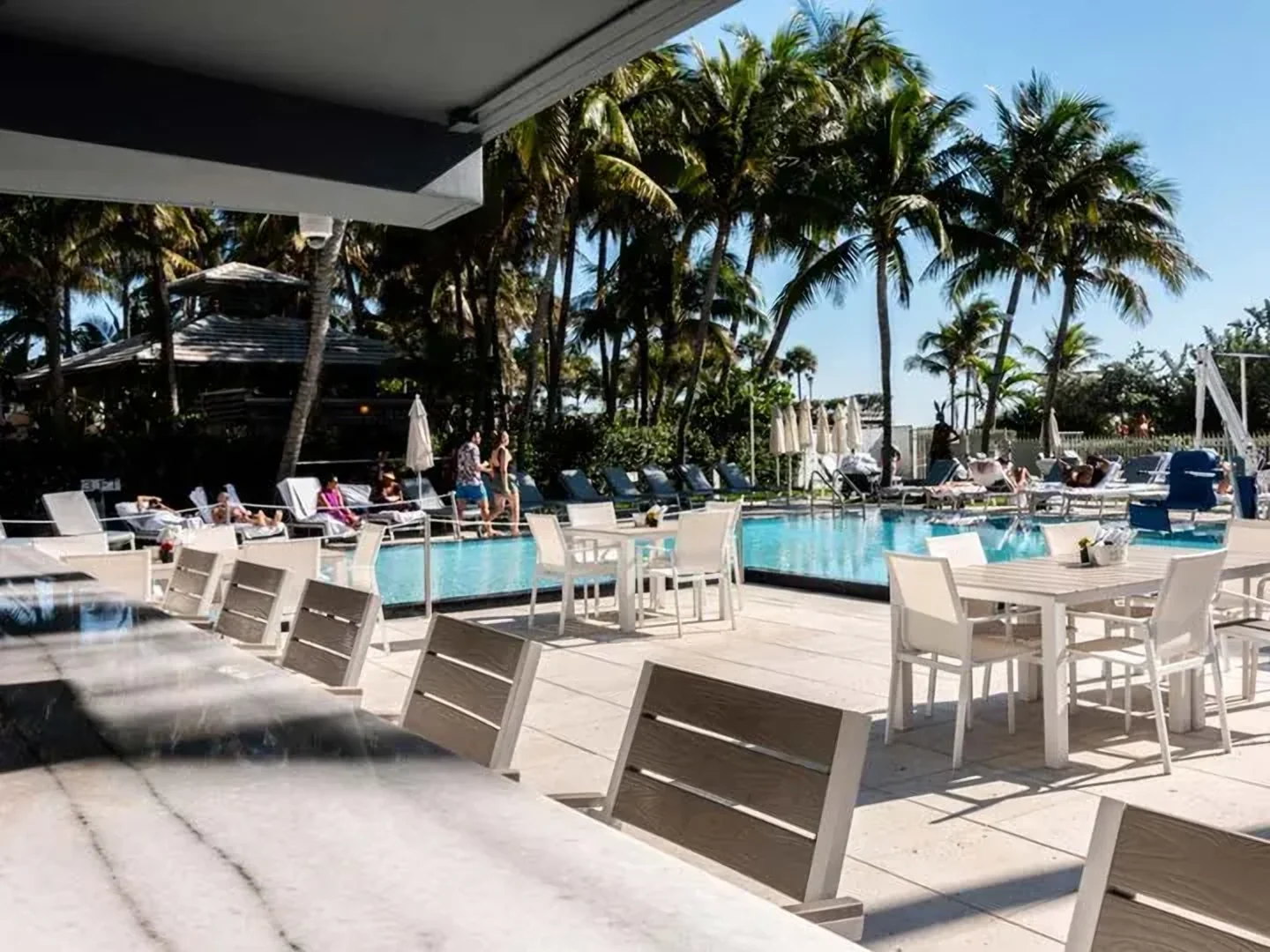 Poolside terrace seating under palms
